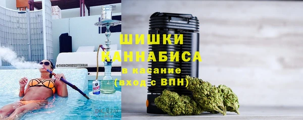 спиды Богородск
