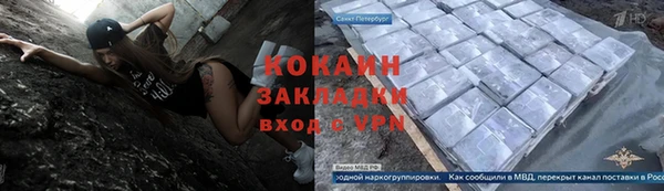 дживик Бородино