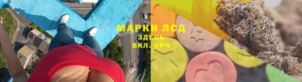 сатива Бугульма