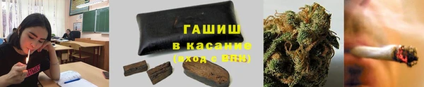 apvp Богородицк