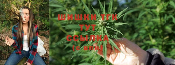 спиды Богородск