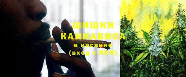 каннабис Богданович