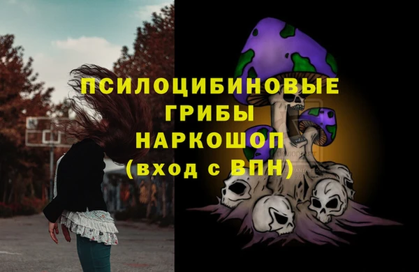 спиды Богородск