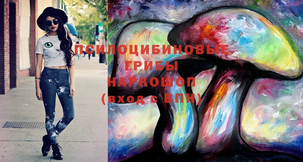 apvp Богородицк
